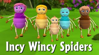 Incy Wincy Spider Nursery Rhyme  Itsy Bitsy Spider  3D Animation Rhymes amp Songs For Children [upl. by Pat]