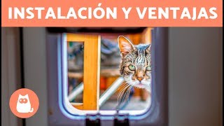 PUERTA para GATOS 🐱 Cómo Instalarla y Beneficios [upl. by Ingvar]