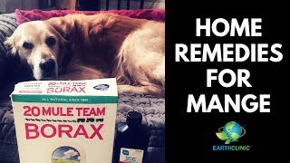 Home Remedies for Mange  Teds Famous Borax for Mange Treatment [upl. by Aziza743]