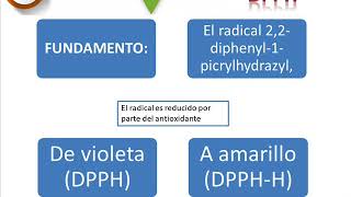 Actividad antioxidante técnica DPPH [upl. by Enhpad]