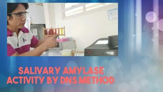 Spectrophotometric Determination of Salivary Amylase Activity [upl. by Aistek]