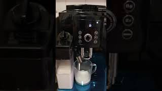 DeLonghi magnifica S ECAM 23260B [upl. by Nalim]