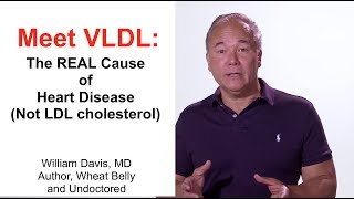 Meet VLDL The REAL Cause of Heart Disease [upl. by Adriana637]