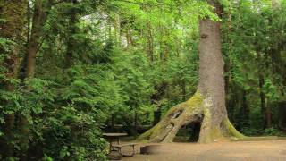 Cape Lookout State Park [upl. by Magree]