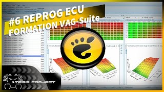 06 Logiciel De Reprogrammation Gratuit VAG EDC Suite [upl. by Batory]