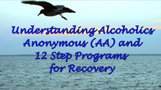 Understanding Alcoholics Anonymous AA and 12 Step Programs for Recovery [upl. by Sremmus639]