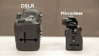 Understanding DSLR vs Mirrorless Cameras [upl. by Seko]