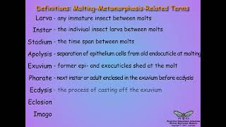 051MetamorphosisIntroduction [upl. by Fabien]