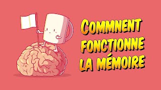 Psychologie  Comment fonctionne la mémoire [upl. by Gnuhc]