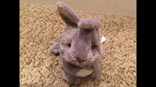 Hasbro FurReal Friends Newborns  Bunny  Grey amp White  Second Generation [upl. by Alfonse139]