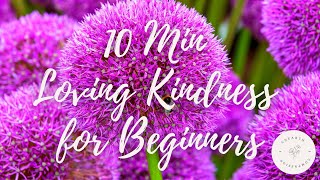 10 Minute Loving Kindness Meditation for Beginners [upl. by Mirabel]