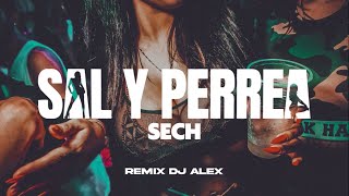 SAL Y PERREA REMIX SECH DJ ALEX [upl. by Yelime]