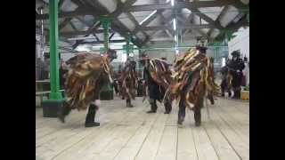 Wytchwood Morris dance Twiglet [upl. by Affrica]