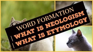 What is Neologism  What is Etymology  Word Formation Processes  Lecture 25  UrduHindi [upl. by Nylanej]