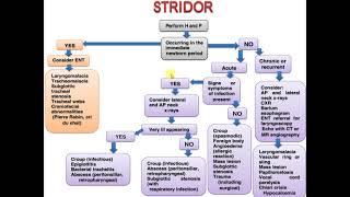 Stridor in pediatrics [upl. by Taite]