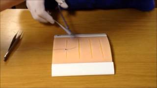 Basic Suturing Techniques [upl. by Aronal]