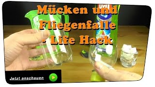 Beste Mücken und Fliegenfalle selber bauen  Life Hack  DIY [upl. by Tecu]