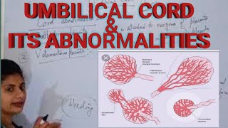 Umbilical Cord  Umbilical Cord Abnormalities [upl. by Chemarin930]