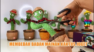 MEMBEDAH BADAN KAKTUS JOGET VIRAL [upl. by Selden]