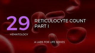 Reticulocyte Count Part I [upl. by Lail277]