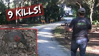 Deer Hunting the Neighborhood 9 Bow Kills Savannah [upl. by Seravaj]