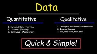 Qualitative and Quantitative [upl. by Pilar13]