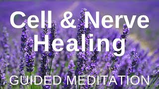 Guided HEAL Meditation  Cell and Nerve Healing Self Healing Meditation [upl. by Sylvie]