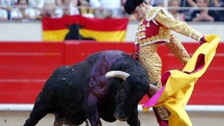 Best Bull Fight technique full bullfighting in Spain very dangerous [upl. by Ecinnej760]