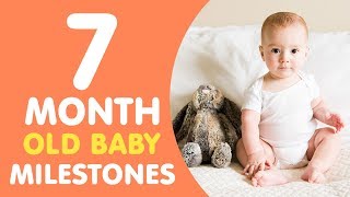 7 Months Old Baby Milestones [upl. by Anaehr]