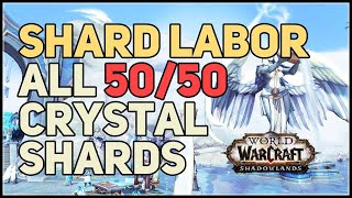 Shard Labor WoW All Anima Crystal Shards [upl. by Leciram]