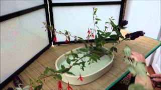 Ikebana in 10 minutes Part 2 [upl. by Akayas]