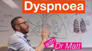 Dyspnoea  Respiratory System [upl. by Olegna]