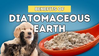 5 Benefits Of Diatomaceous Earth For Dogs and Cats [upl. by Ardrey671]