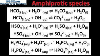 R313 Amphiprotic species [upl. by Nonnaihr]