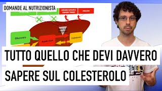 Tutta la verità sul colesterolo [upl. by Divaj988]