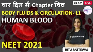 L1 Human Blood Body Fluids and Circulation  4 Din me Chapter Chitt  NEET 2021  Ritu Rattewal [upl. by Cyd]