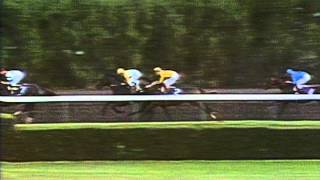 1989 Breeders Cup Classic [upl. by Trebled]