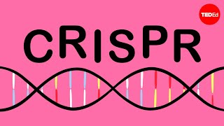 How CRISPR lets you edit DNA  Andrea M Henle [upl. by Imaon]