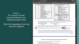 Georgia General Civil amp Domestic Relations Case Filing information and Disposition Forms Walkthrough [upl. by Norab]