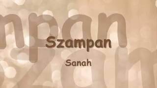 Sanah  Szampan TekstLyrics [upl. by Enileuqaj]