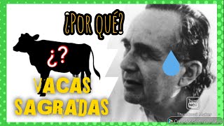 ¿POR QUÉ las VACAS son SAGRADAS en la INDIA  Marvin Harris  Antropología para principiantes [upl. by Dixie592]