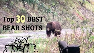 TOP 30 BEST BEAR HUNTING KILL SHOTS [upl. by Octave]