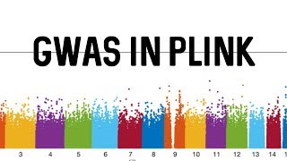 GWAS in Plink [upl. by Peisch]