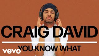 Craig David  You Know What Official Audio [upl. by Hcire]