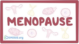 Menopause  an Osmosis Preview [upl. by Rratsal]