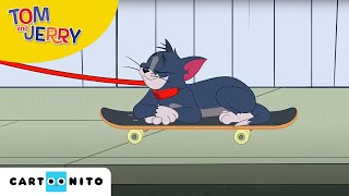 Tom și Jerry  La plimbare  Cartoonito [upl. by London]