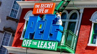 The Secret Life of Pets Off the Leash Highlights  Universal Studios Hollywood 2021 [upl. by Petromilli425]