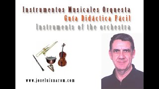 Instrumentos Musicales Orquesta  Guía Didáctica Fácil  Instruments of the orchestra [upl. by Nodnol]