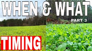 What Food Plots amp When should You Plant Them [upl. by Tasia529]