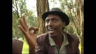 Eritrean comedy suzinino tafla and behabelom Trgum [upl. by Gad]